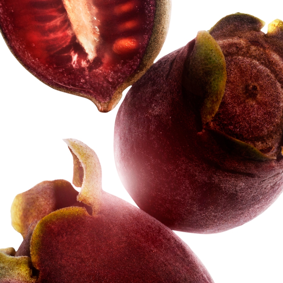 テンニンカ（天人花）-テンニンカエキス-Rhodomyrtus tomentosa fruit extract