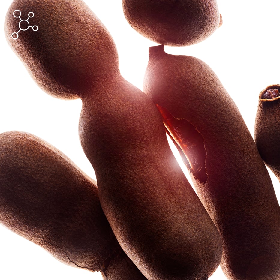 タマリンド-タマリンド果肉のフルーツ酸-Sorbic acid