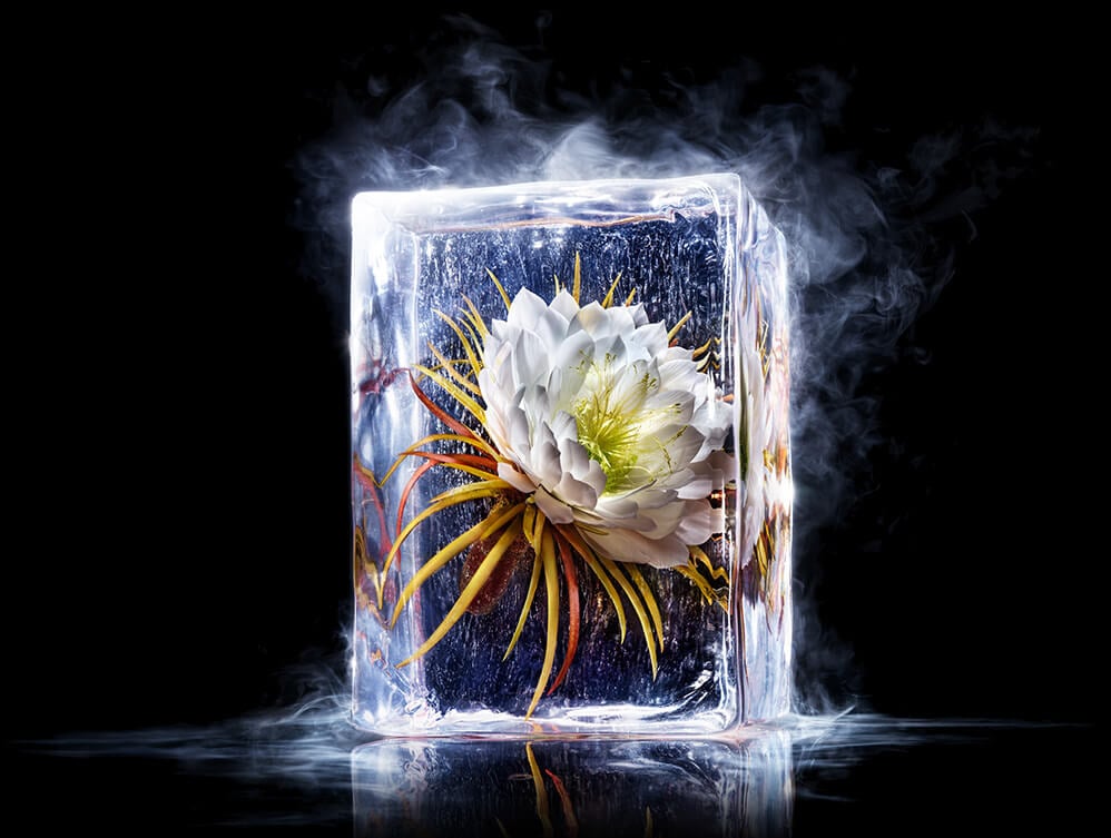 クラランスプレシャス ラ クレーム | CLARINS®