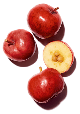 アセロラの果実と果肉の中のアセロラシード