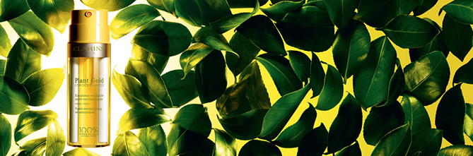 プラント ゴールド
