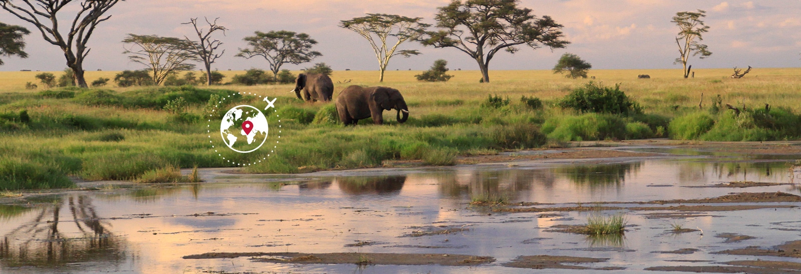 象のいるアフリカの大自然と世界一周のマーク