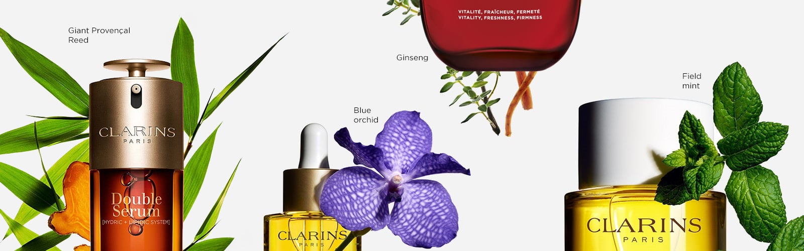 厳選された植物とクラランスの製品