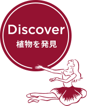 Discover 植物の声に耳を傾け